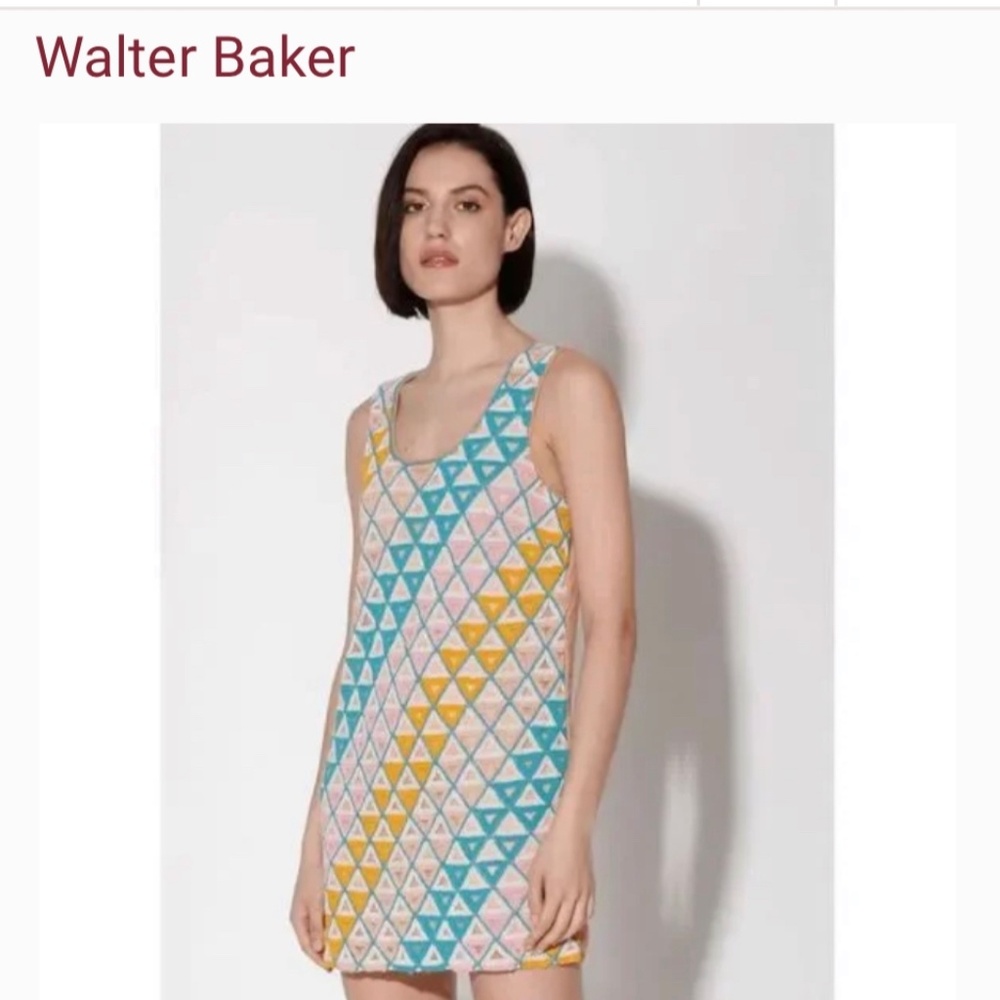 Walter Baker Vera Cruz Colbie Beaded Dress